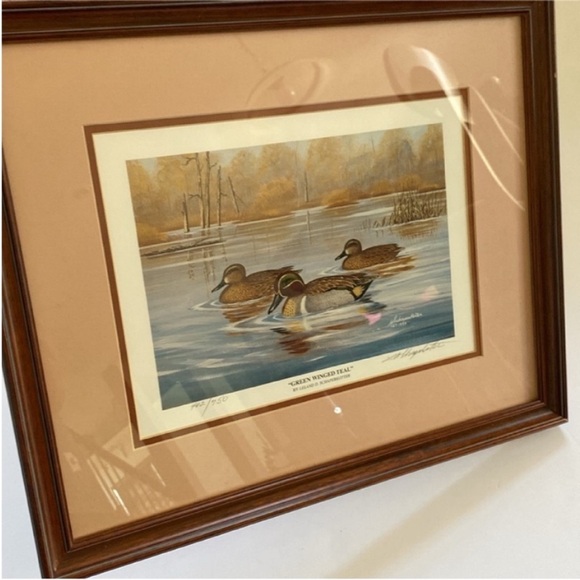 Leland D.Schaperkotter "Green Winged Teal" Vintage Signed Print wall art decor - Picture 11 of 11